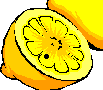 Citrons2